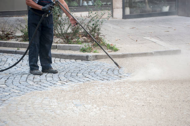 Best Fence Cleaning  in Seeley, CA